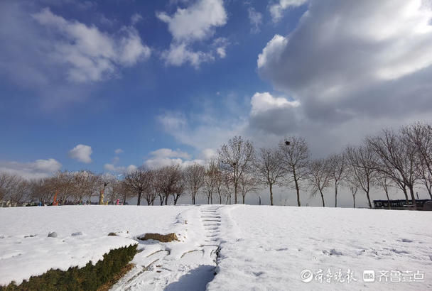 老年|蓝天白云，白雪皑皑，烟台“牛”年初雪美如画