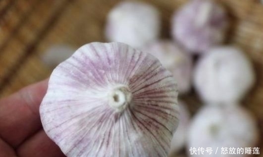 大蒜|选大蒜时,牢记这几种别买,再便宜都不能要,摊主我从来都不吃