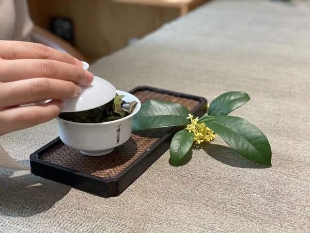  白茶的回甘，是因为“苦尽甘来”？经验丰富的老茶客一语道破玄机