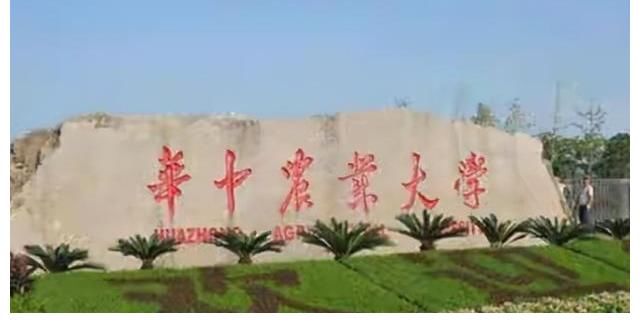 湖北工人拾到一棄嬰，扛煤氣罐供孩子讀博，24年后親生父母找上門