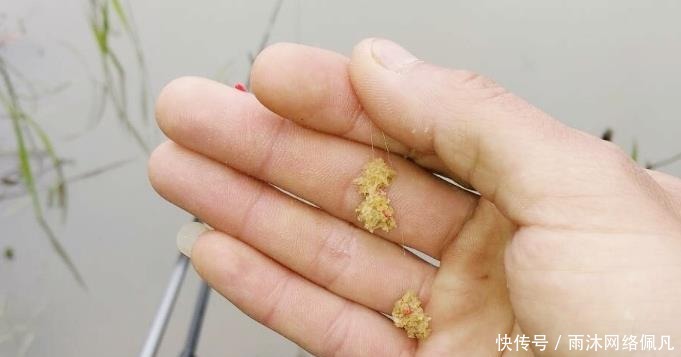 不少|狂拉后却遭到“停口”?老渔民说出实情,原来不少钓鱼人都做错了