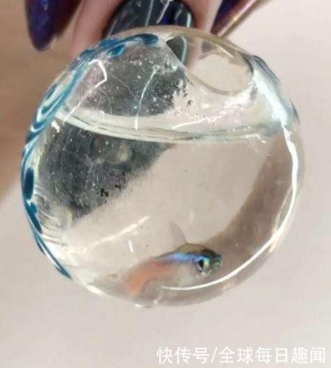 小鱼|女子发明“活鱼”美甲，遭到一众网友猛烈抨击，你能接受吗?