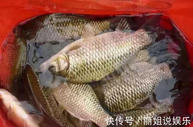 冬天出太阳不好钓鱼?只是没有找准地方而已