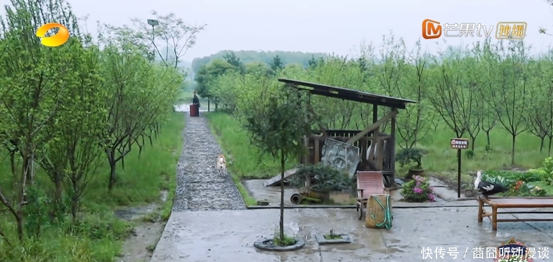 彭昱畅|《向往》推出杨紫张艺兴特辑,网友态度两极分化:唯恐天下不乱?