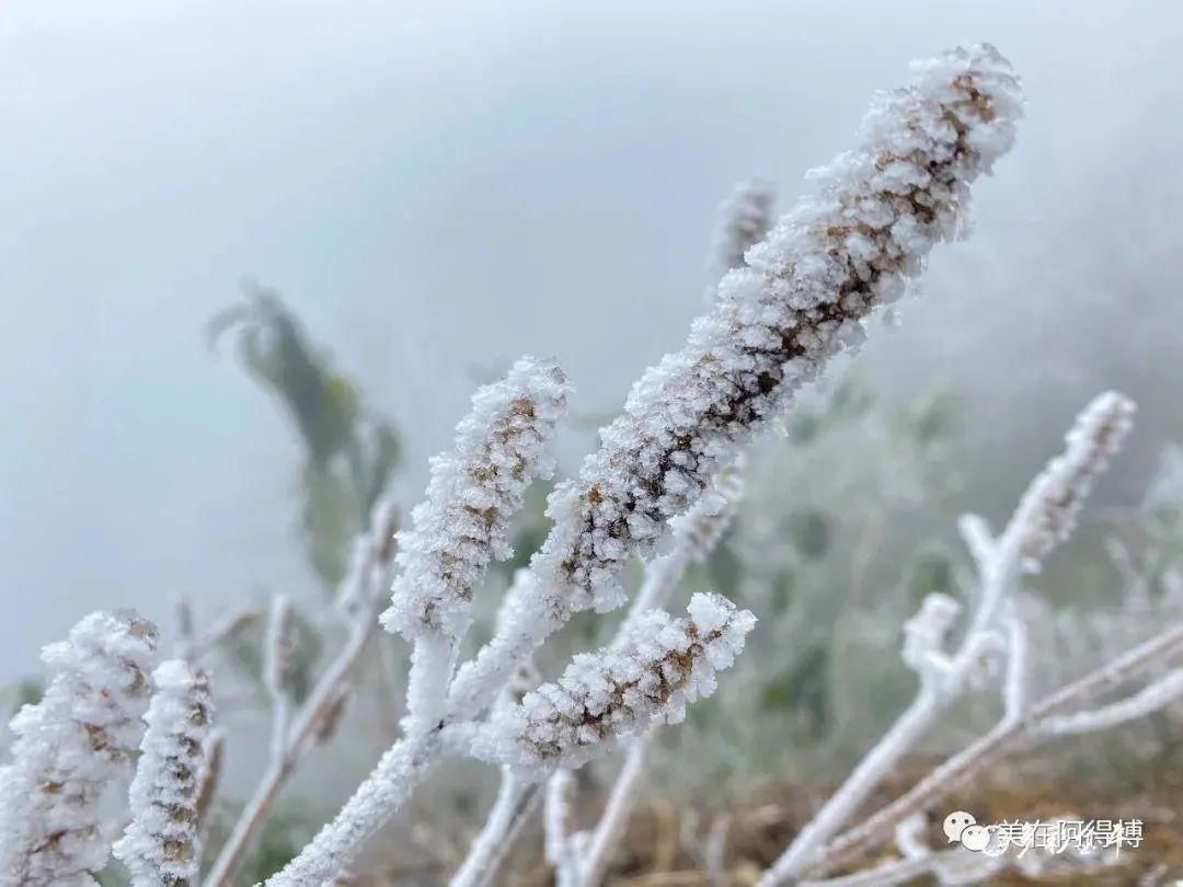 记忆 ｜寒潮再次来袭，还记得前几天的雪吗？