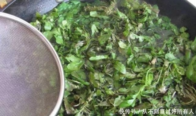 只用|我家只用这种饺子馅,比韭菜鲜,多吃也不怕胖