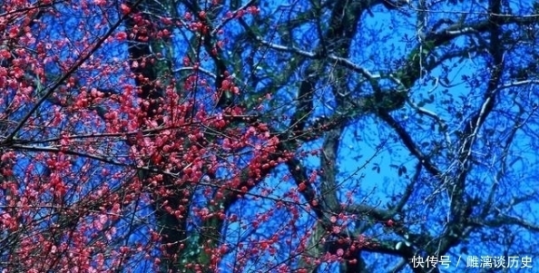 农历|古人说“闰四月,两头春;老农民,卖儿孙”,到底是啥意思