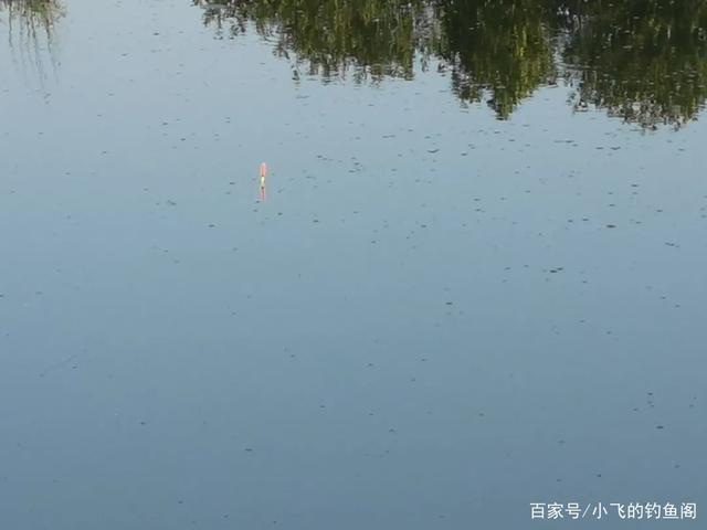 鱼越钓越小是一种信号,野钓中碰到要注意,得赶紧做出调整