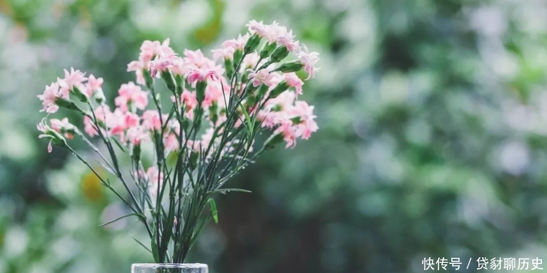 遗憾|50句唯美诗词:只有读过,才不会心生遗憾