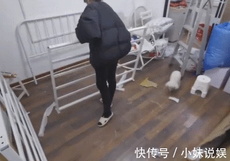 墙面|人生第一套房,是35㎡破旧二手房,她花了3个月改造后,太美了