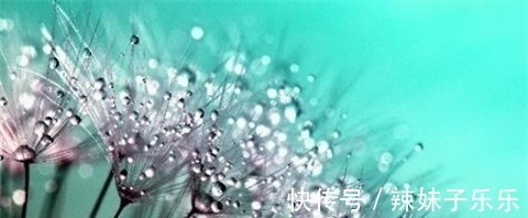 爱情|农历哪几天生日的人，人面桃花相映红，不缺爱情也不缺福气！