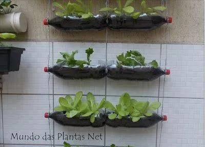 植物|没地种花种菜,没时间浇水几个塑料瓶就能解决,DIY变废为宝