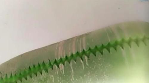 刻成|中国厨师秀刀功,将萝卜刻成玉米,米其林大厨:甘拜下风