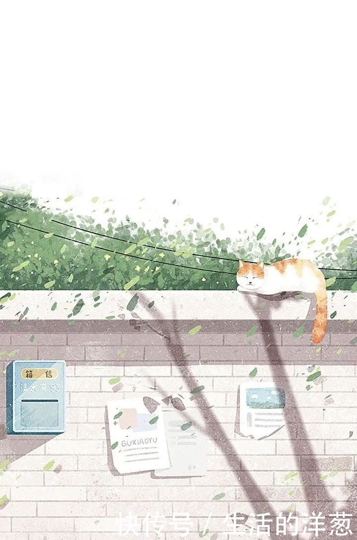 配不上|原来的壁纸已经配不上你的iPhone12了,快来换新的猫咪壁纸