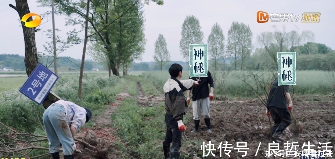 4季最懒客人齐聚《向往5》，黄磊张艺兴各有对策，不愧是狐狸师徒