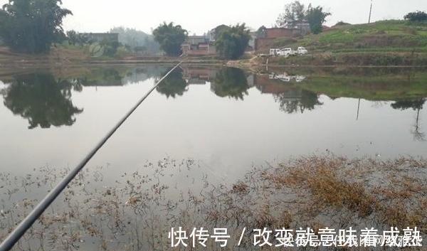 钓位|冬季钓鲫鱼，先别着急下竿，两大策略帮你找鱼窝，不愁钓不到鱼！