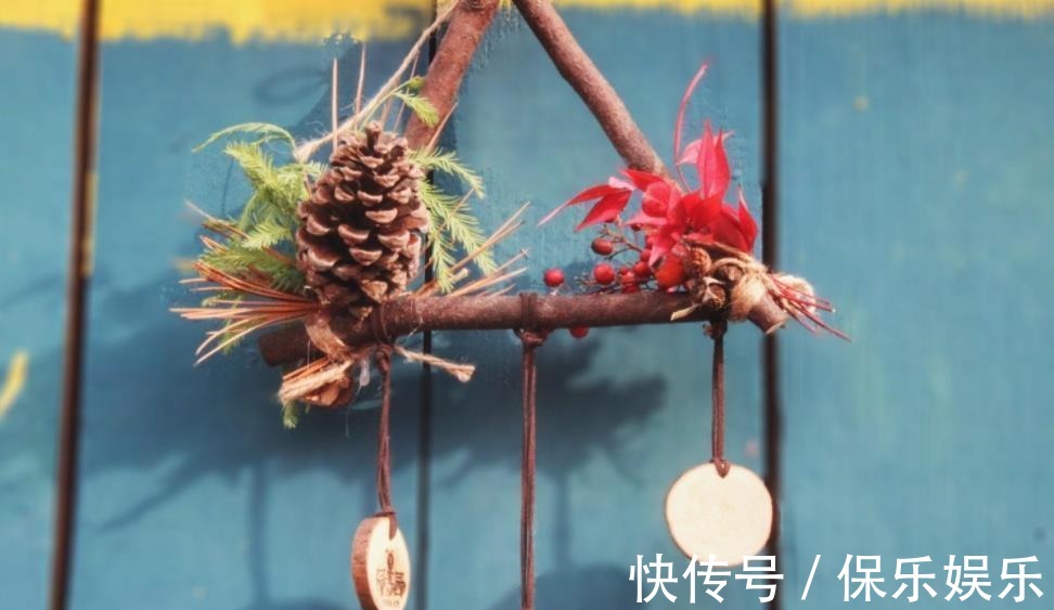 花肥|松树有2宝,松果壳、松针,带回家养花,效果比花肥强