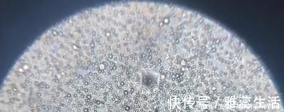 奶粉|宝宝断奶的最佳时间,不是6个月也不是1岁,选错了影响娃发育