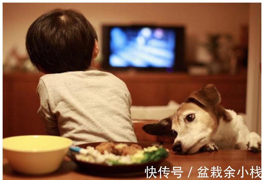 咿咿呀呀|宝宝出现这7种行为别大意,很可能是发育迟缓的“信号”!