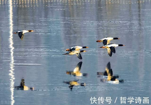 容器#哲学诗画原创诗歌三首,一起品读诗意时光