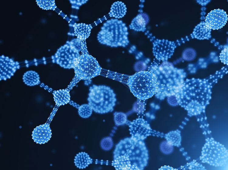 高危人群|炭疽病毒是啥?哪些是高危人群?牛羊肉还能不能吃