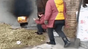 |搞笑GIF段子：珍珠归你了，那这肉能不能归我啊