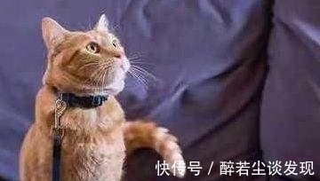 |爆笑段子:老师,她要逃课,我帮你拽着的!