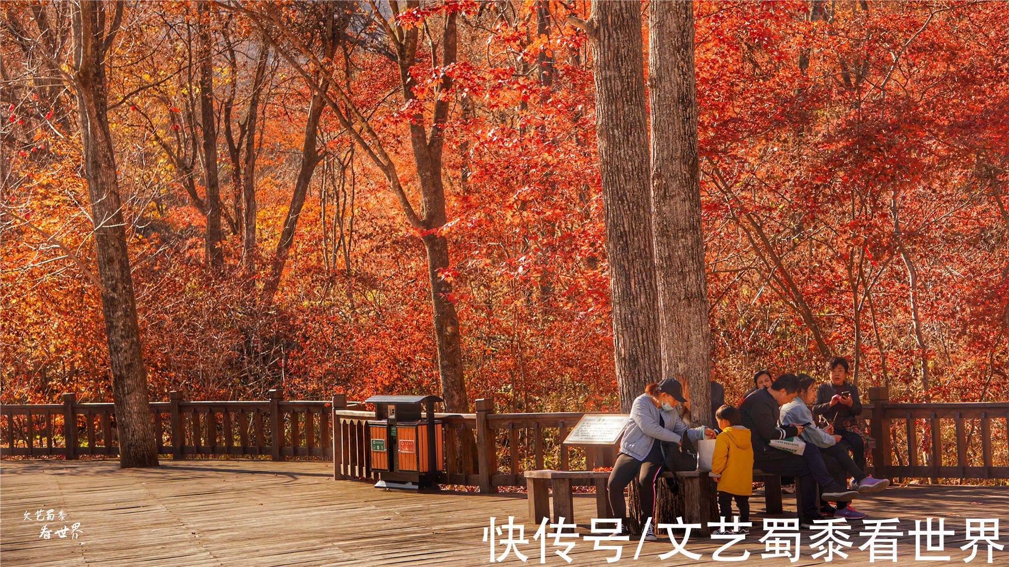 红叶|又快到了去本溪赏枫的季节，枫林谷是我退休以后每年都要去的地方