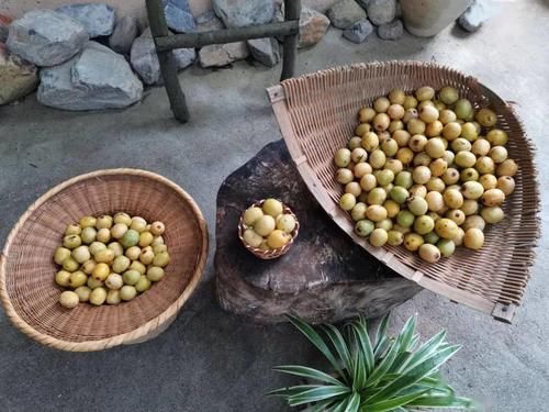 记忆|儿时的记忆就在这酸酸甜甜中唤醒