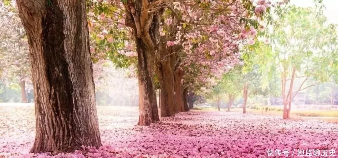风雨|辛弃疾:更能消、几番风雨,写在《摸鱼儿》里的担忧与愤慨!