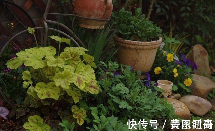 花园|荒废多年的80㎡小院,2年半时间打造成下沉式花园,太漂亮了!