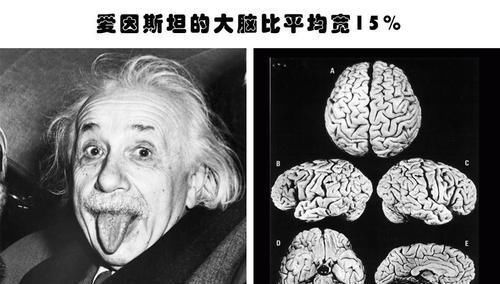 高尔夫球|即便是知识渊博的人也不一定知道的12个有趣的小知识