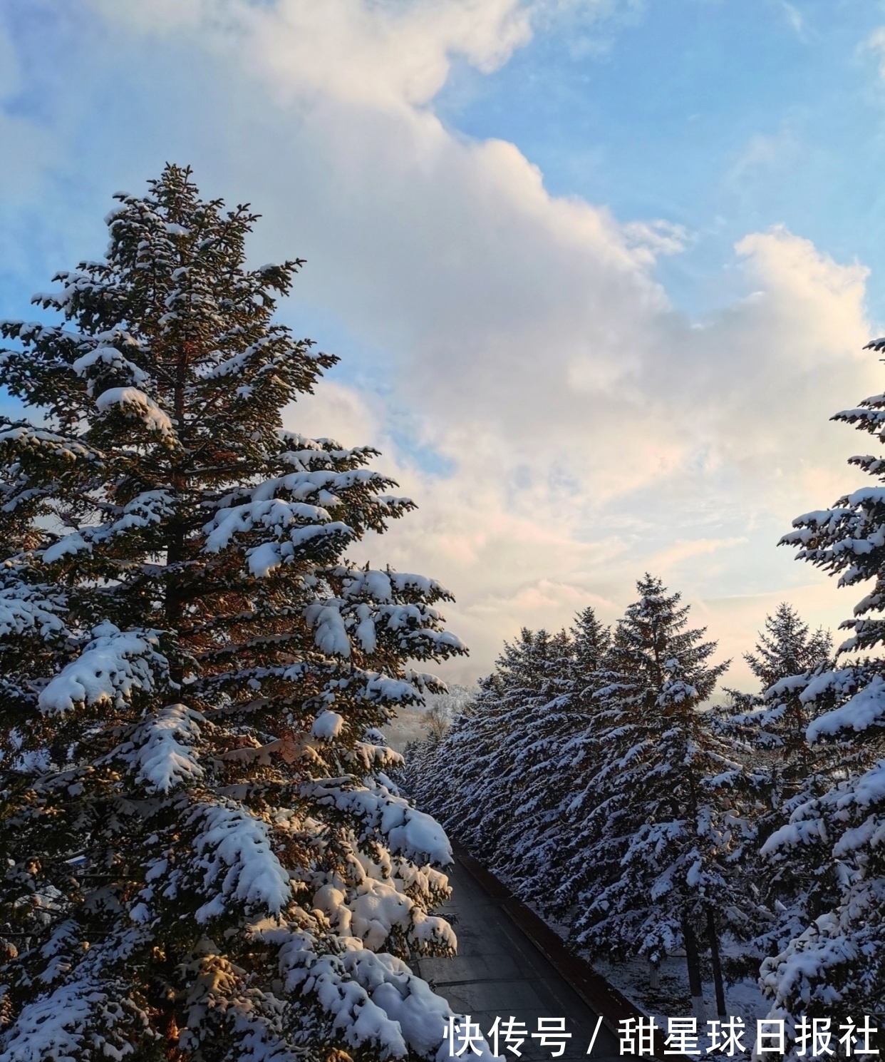 湘州#七律:不见银灯春客梦,相逢云树玉湘州