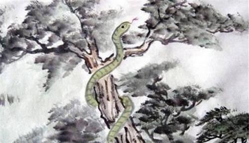福厚禄|农历哪天出生的属蛇人，能吉祥相伴，福厚禄重，掌权又掌财