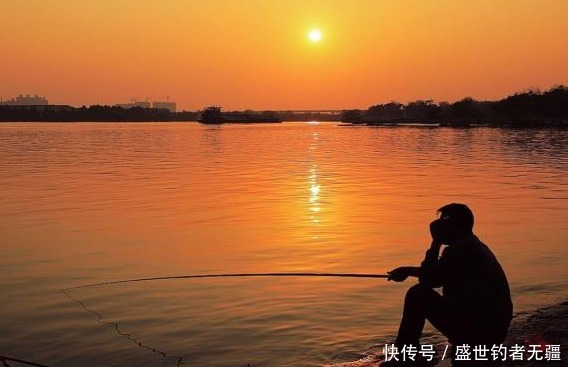 夏季|夏季野钓鲫鲤鱼有技巧，想要爆护必须掌握好才行！——盛世三渔