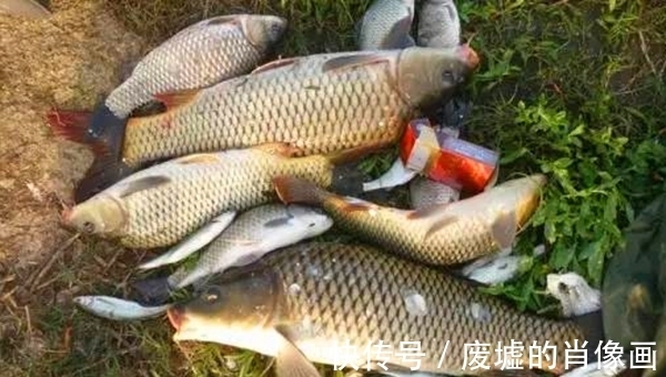 野钓选钓位,民间有“另类”经验,位置这样选,都是鱼扎堆的地方