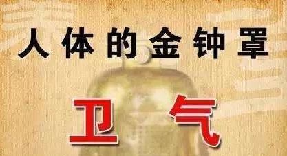 心气|它是补气之最，治一切虚劳，肺气，脾气，肾气，心气，肝气都补齐
