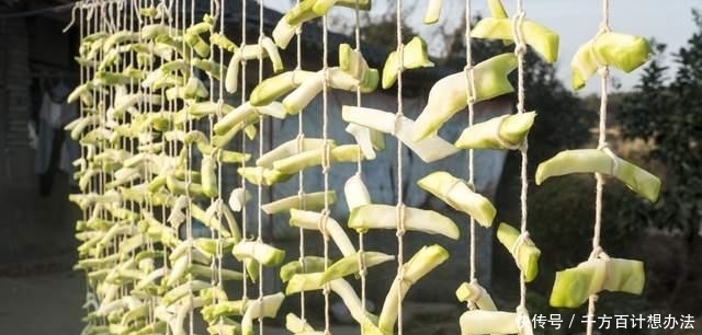 5道超下饭的自制腌菜,做法简单,无添加剂,存放1年都没问题