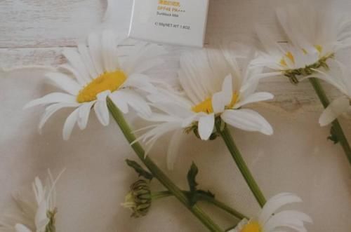 国货|国货又厉害了!这4款护肤品真能对标大牌,我统统都回购了