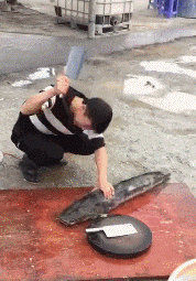 |搞笑GIF趣图:这大叔年轻时一定不简单