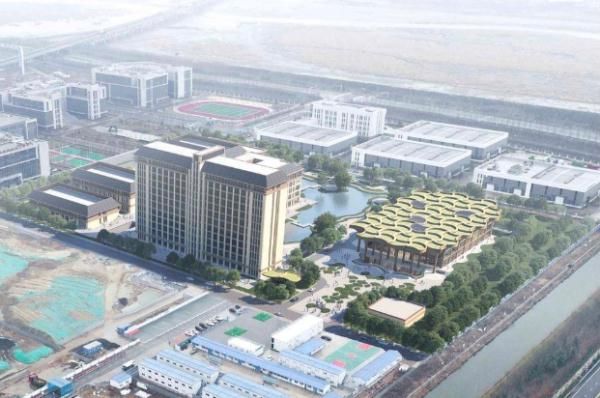 重点|上半年引才11.02万人！青岛“双招双引”持续发力