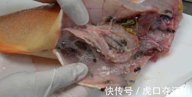 男子花高价买鱼做刺身, 切开鱼的那一刻, 再也不敢生吃肉类了