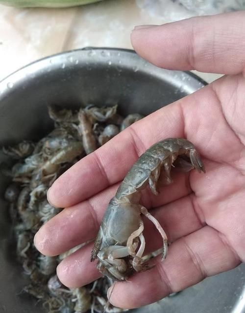 哪里海鲜好吃？