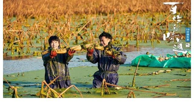 就是今晚！华晨宇《百姓的味道》寻味武汉，化身“藕霸”体验挖藕