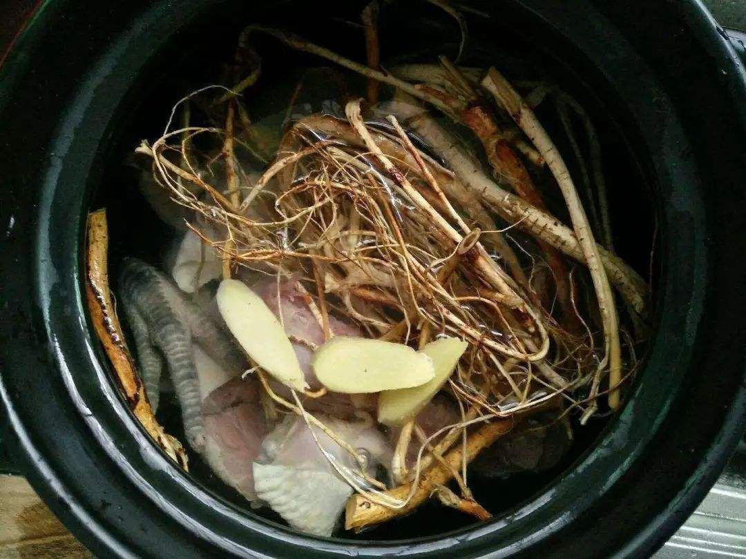 五指毛桃|35元1斤不满足,还用硫磺熏来造假,如今野生难觅,购买需谨慎