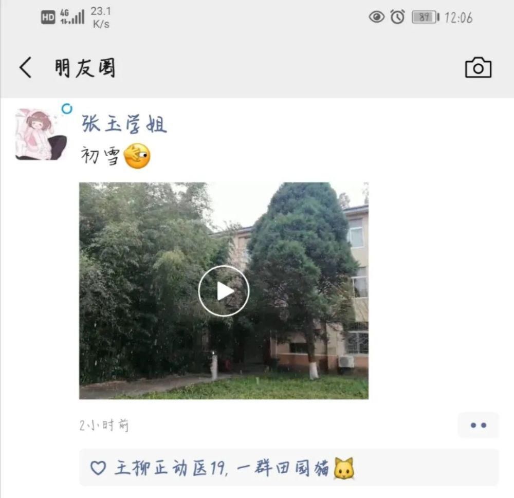 喜欢|2020年的第二场雪，记得分享给最喜欢的人看