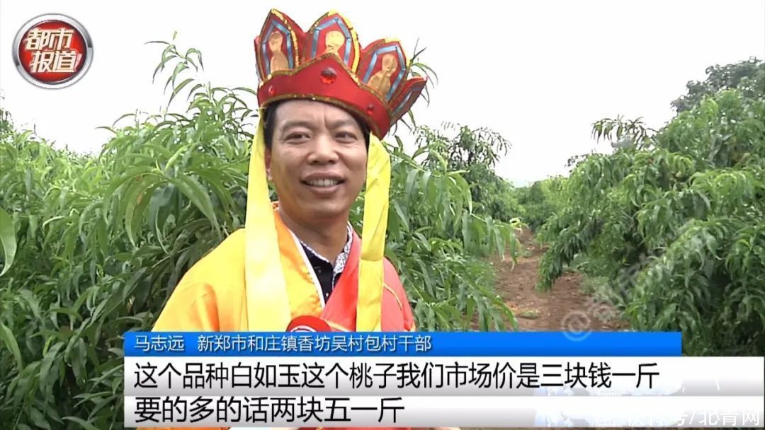 全村|震惊！“唐僧师徒”空降新郑，结果几乎全村的桃都没了