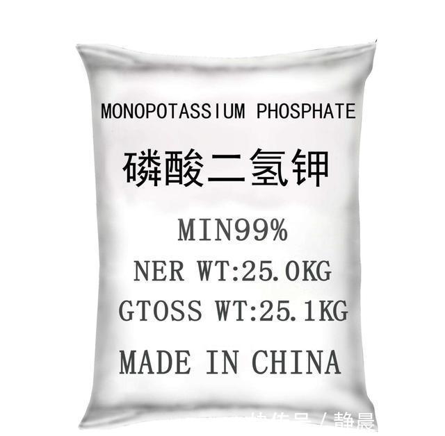 他养花10年,一盆君子兰养了4年,满盆都是“肉虫子”,秘诀有3个