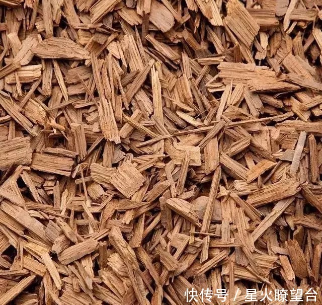 养花盆土板结,一点这玩意扔盆里,盆土肥沃透气,花长得可快了