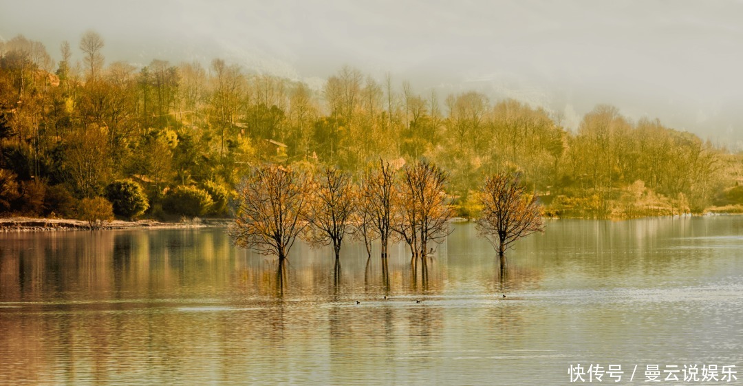 一眼万年的诗词句子有人哭,有人笑,有人输,有人老